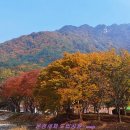 문경새재 도립공원 이미지