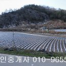 중흥길 12-1 이미지