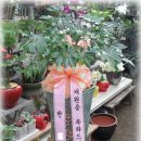 권병표내과의원 이미지