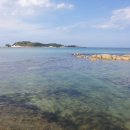 송지호 굿모닝하우스 이미지