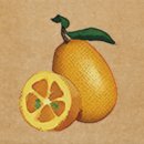 낑깡이랑 이미지