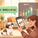 나도 알아요, 인공지능 생성형 AI 툴북 | "우리 강아지가 왜 이럴까?" 사진 한 장으로 분석하는 똑똑한 AI 반려동물 마음 읽기