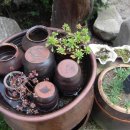 화악산풍경펜션 이미지