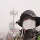 작두산 Daum카페