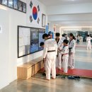 용인비상태권도장 이미지