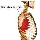 다이아몬드헬스 이미지