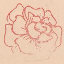 장천꽃박물관 이미지