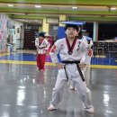 한국체대 비전태권도 이미지