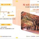 제36회 소요단풍문화제 | ★☆ 241026 소요산 단풍문화제 ☆★