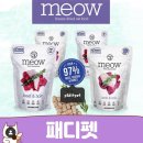 윤펫