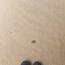 해운펜션 | 연평도 여행후기(배편 예약, 경주펜션, 미영식당 후기)