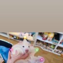 혈도농장 이미지