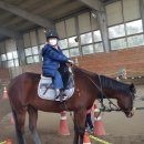 그랑프리 승마파크 이미지