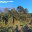 하대동125 이미지