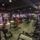 피트온24 이미지