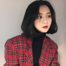 헤어하리 이미지