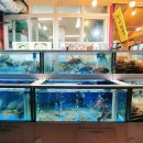 경포한미회대게 이미지