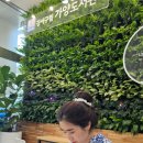 가양도서관 | 손끝으로 읽는 마음, 손으로 읽는 책 : 가양도서관 필사프로그램 후기