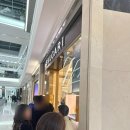 드림크리닝 | 불가리 디바스드림 목걸이 구매후기, 한줄파베 착샷 포함! 영등포 타임스퀘어점