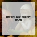 보물몰