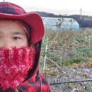 월파농장 이미지