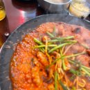 쭈꾸미도사 이미지