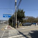 먹물촌 | 인덕원 쭈꾸미 여기 왜 유명한지 알겠더라 (먹물촌 솔직후기)