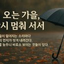 레인어게인(rain again)