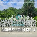 건식농장 | (신혼여행) 몰디브 라야앳모스피어 솔직한 후기 4편 - 엘레나 스파, 부대시설, 도니배 경주, 수중환경 후기