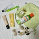 애플인셀덤 | what in my bag? (2) 비비크림추천 인셀덤 썬크림 아떼 후기 에어린향수 추천 논픽션 핸드크림 테라...