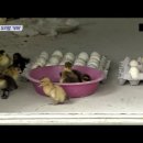 오리창고