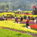 낙동강변18 이미지