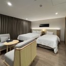 호텔브라운도트 이미지