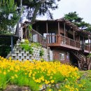 낙동놀자 이미지