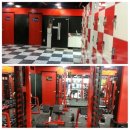 바디 디자이너 이미지