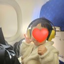 로얄프레샵 | 16개월 아기 후쿠오카 여행 시작 1일차(에어 부산 탑승 후기 + 더블라썸 하카타 + 캐널시티 + 이치란 라멘)