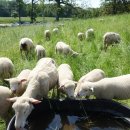 블루힐농장 이미지