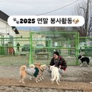 (주)메디랩 | [공지] 2025 메디랩 연말 봉사활동 후기 | 평택 유기견 보호소 레벨레스큐 방문기