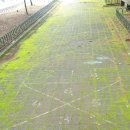 화정12호(진달래 어린이공원) | 사방치기 (전통놀이) 할 사람! 산책할 사람! 화정 진달래공원으로