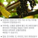 청일유기식품