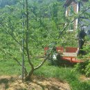 한아농장 이미지