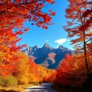 2025 단풍 절정시기 – 전국 단풍 명소 북한산, 설악산, 오대산, 치악산,,,, 이미지