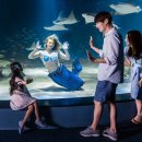 아쿠아플라넷63 이미지