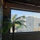 제주도게스트하우스파티 사교장 이미지