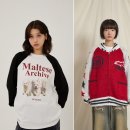 와이케이