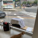 동물병원 움 이미지