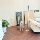 올웨이즈 반려견 미용실 이미지