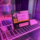 안성 당일 바베큐장 '어퍼그라운드' 상세 후기
