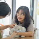 고양이미용실 이미지