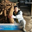 산약초 생활건강 이미지